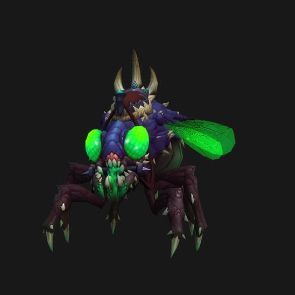 Majestätische Leichenfliege