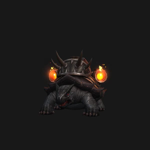 Wilde schwarze Kampfschildkröte