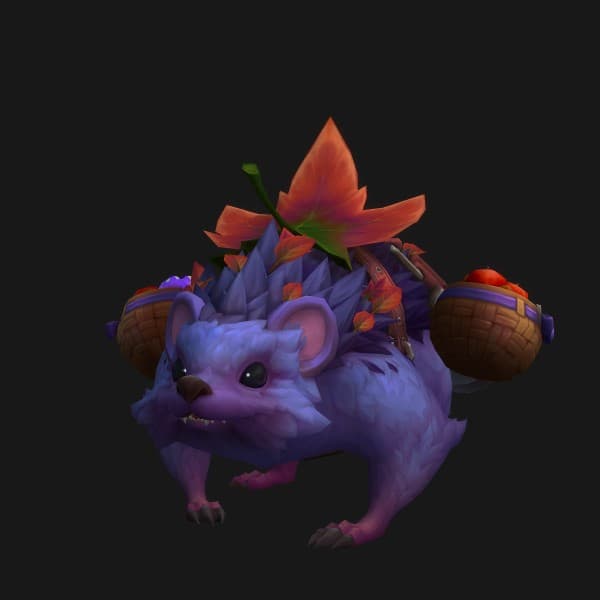 Winterigel der Ernte