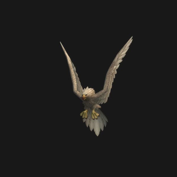 Verschneiter Hochbergadler