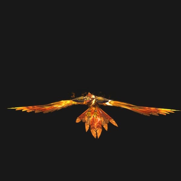 Sonnenfalke der Spitzen